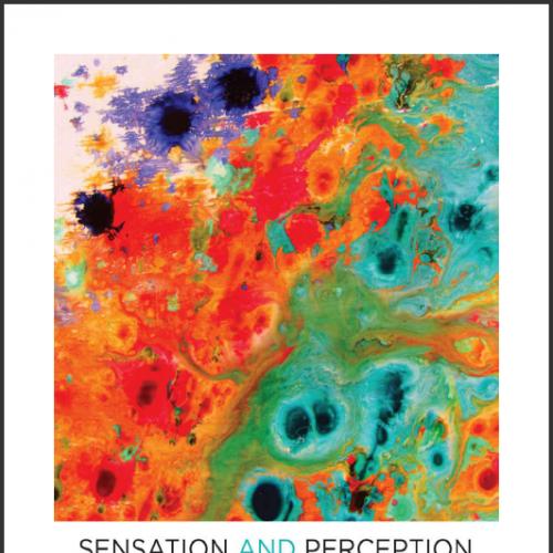 (Test Bank)Sensation and Perception 2nd Edition by Steven Yantis .zip