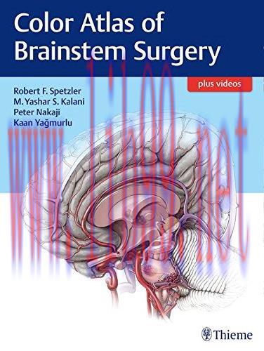 [AME]Color Atlas of Brainstem Surgery (PDF)