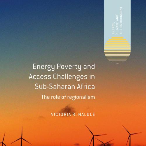 Energy Poverty and Access Challenges in Sub-Saharan Africa