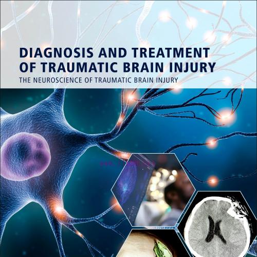 [AME]Diagnosis and Treatment of Traumatic Brain Injury (EPUB)