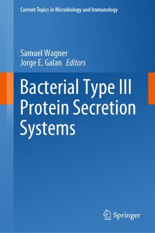 Bacterial Type III Protein Secretion Systems