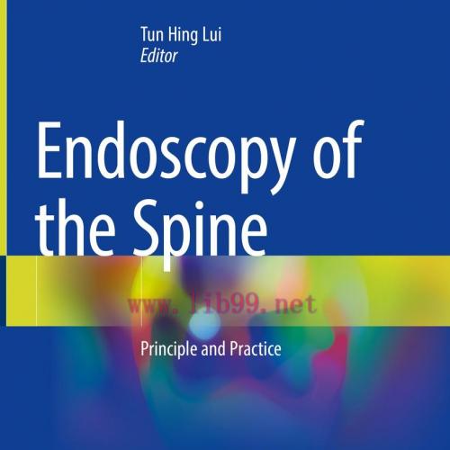 [AME]Endoscopy of the Spine (Original PDF)