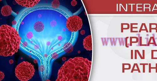 [AME]USCAP Pearls and Pitfalls (Plain or Splashy) in Daily Urologic Pathology Practice 2023 (Vi...