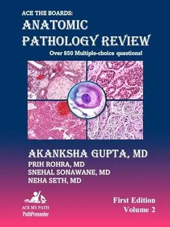 [AME]The Neuroscience of Psychotherapy: Healing the Social Brain (Norton Series on Interpersona...