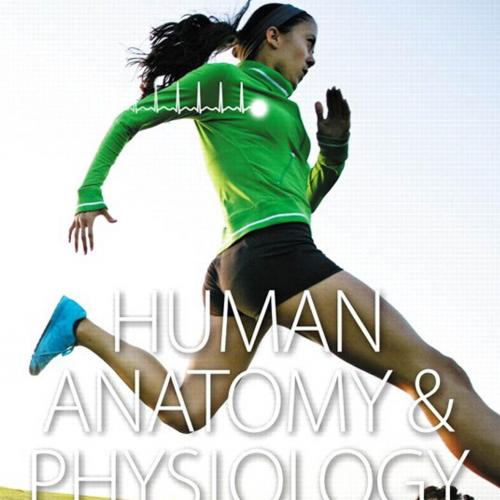Human Anatomy & Physiology - Erin C. Amerman