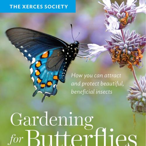 Gardening for Butterflies