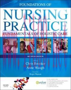 [AME]Foundations of Nursing Practice: Fundamentals of Holistic Care, 2e (Original PDF)