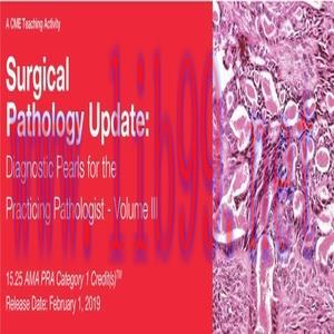 [AME]2019 Surgical Pathology Update_ Diagnostic Pearls for the Practicing Pathologist Vol. III ...
