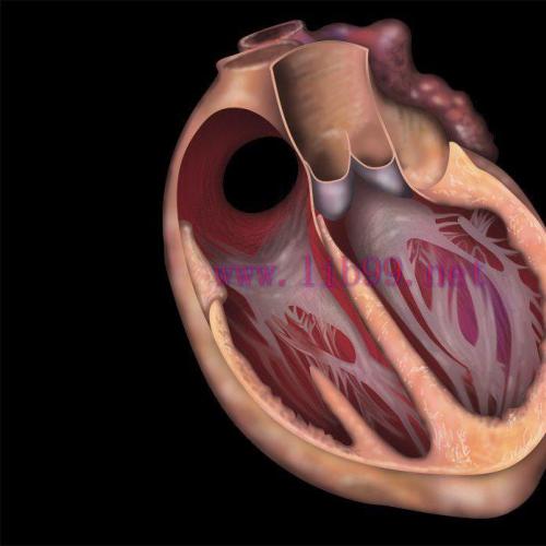 [AME]MRIOnline Mastery Series: Fundamentals of Cardiac MRI 2021 (CME VIDEOS)