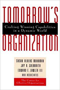 (PDF)Tomorrow&rsquo;s Organization Crafting Winning Capabilities in a Dynamic World 1st Edition