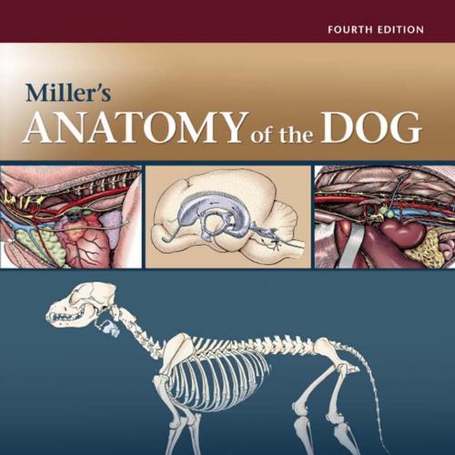 Miller's Anatomy of the Dog 4th Edition