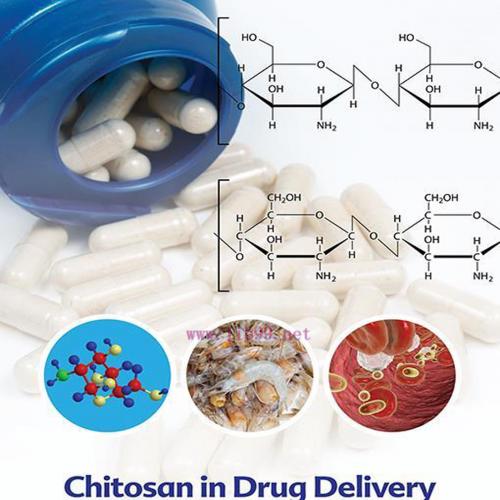 [AME]Chitosan in Drug Delivery (EPUB)