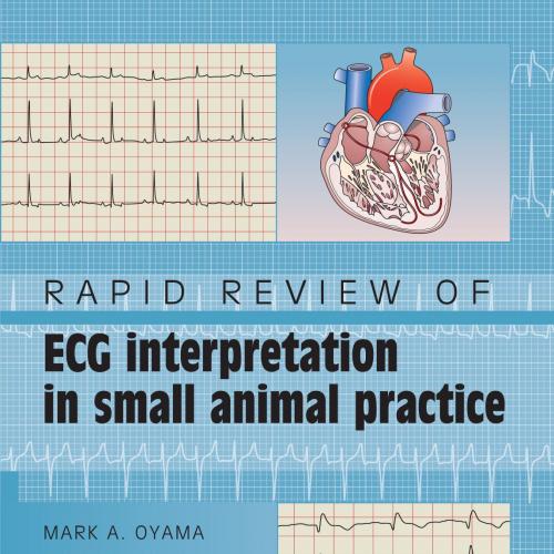 Rapid Review of ECG Interpretation in Small Animal Practice