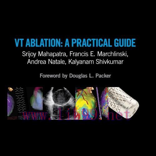 [PDF]VT Ablation: A Practical Guide