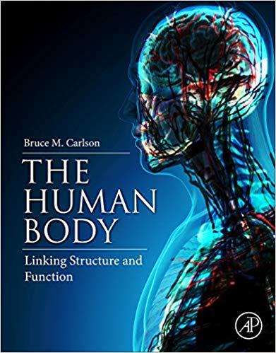 The Human Body Linking Structure and Function