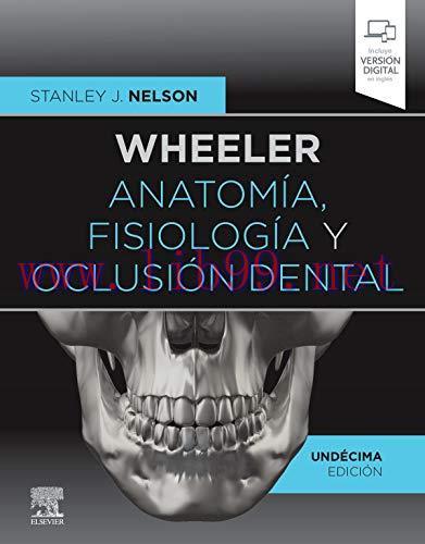 [AME]Wheeler. Anatom&iacute;a, fisiolog&iacute;a y oclusi&oacute;n dental (11&ordf; ed.) (Spanish Edition) (Original PDF)