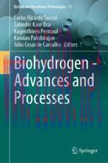 [PDF]Biohydrogen - Advances and Processes