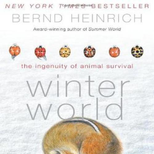 Winter World_ The Ingenuity of Animal Survival - Bernd Heinrich