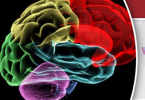 [AME]USCAP Practical Neuropathology for Today&rsquo;s Practice - Interactive Microscopy 2019 (CME VID...