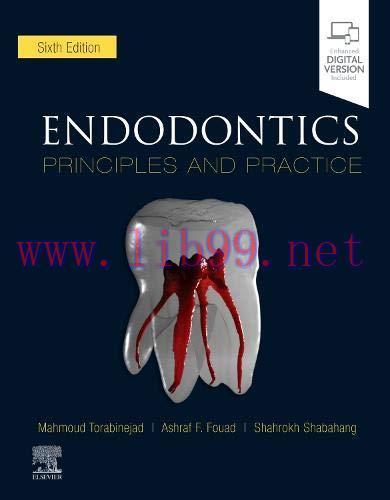 [AME]Endodontics: Principles and Practice, 6ed (True PDF)