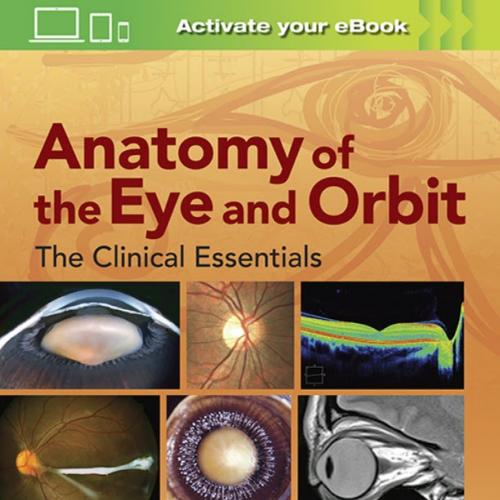 Anatomy of the Eye and Orbit The Clinical Essentials - Original PDF